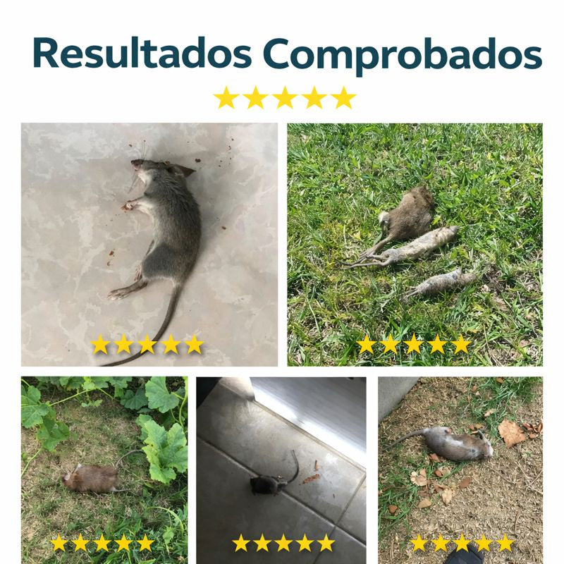 Redenticida® Reduce la actividad de roedores en 8 dias