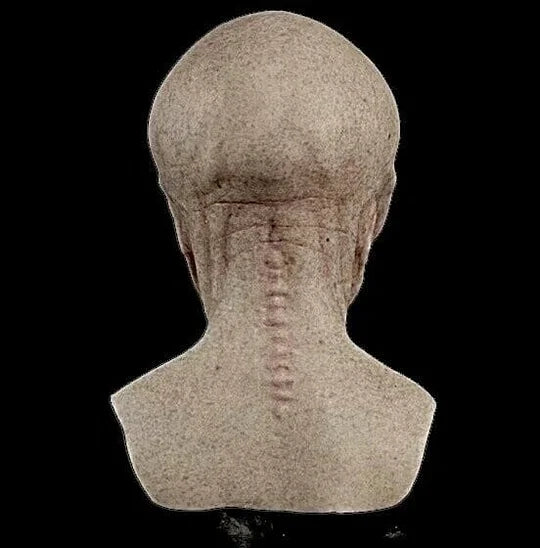 Máscara de extraterrestre divertida