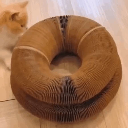 InstintoCat® el rascador que tu gato desea