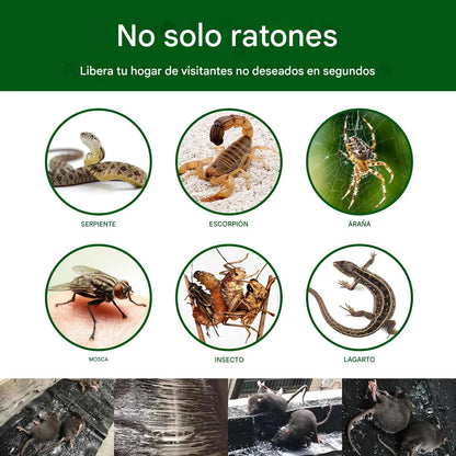 Trampa Adhesiva de  60×28 cm Elimina ratones  (2x Unidades)