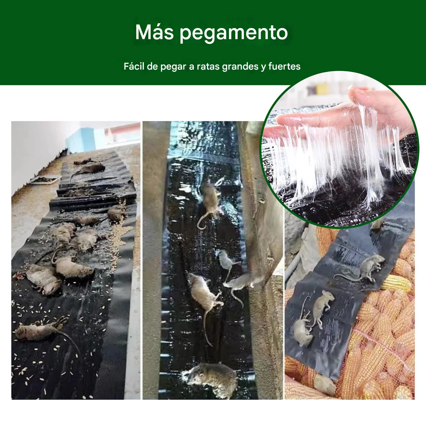 Trampa Adhesiva de  60×28 cm Elimina ratones